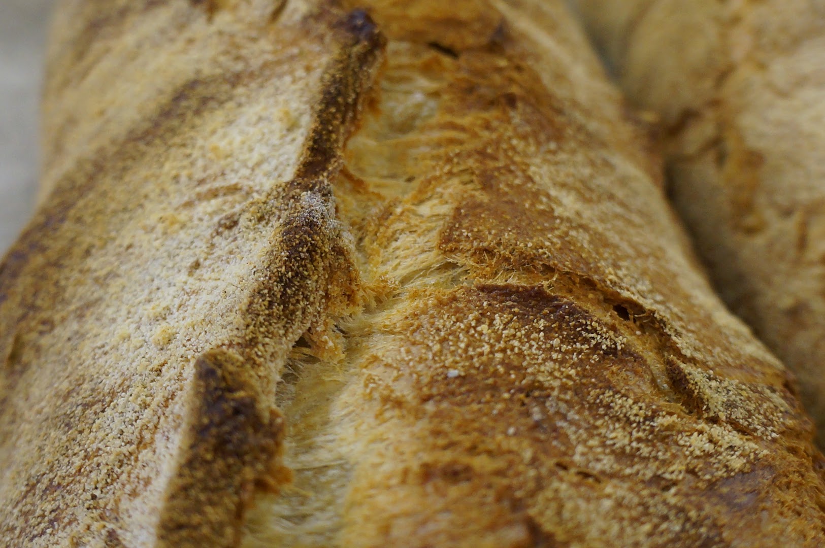 Bakery Corner · Photos 9