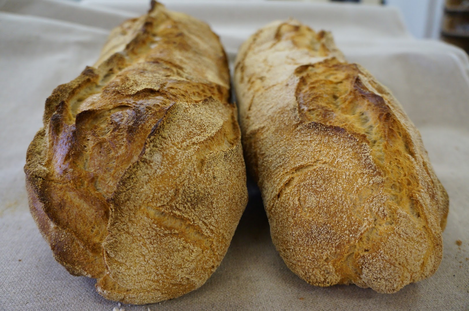 Bakery Corner · Photos 12