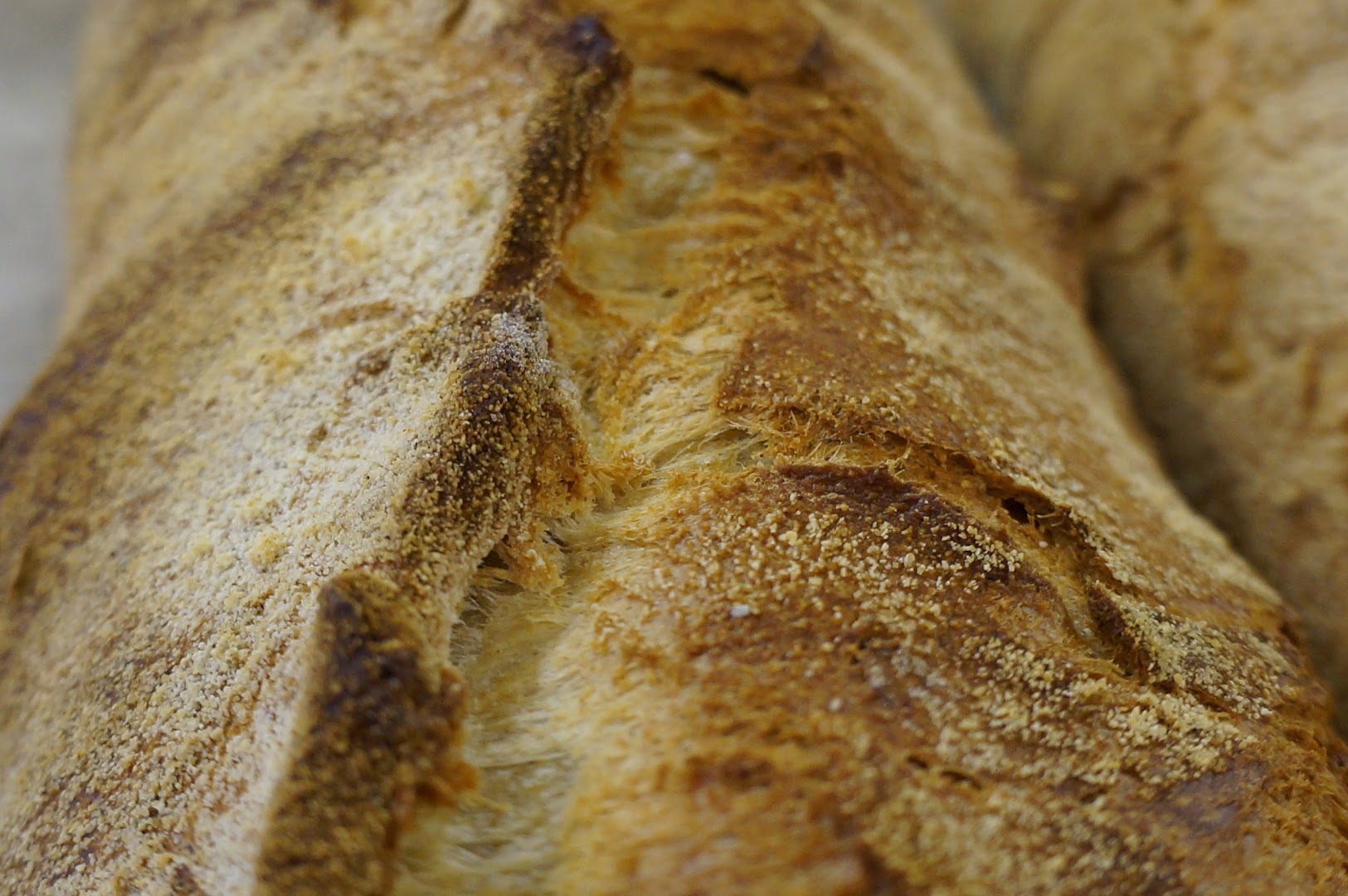 Bakery Corner · Photos 11